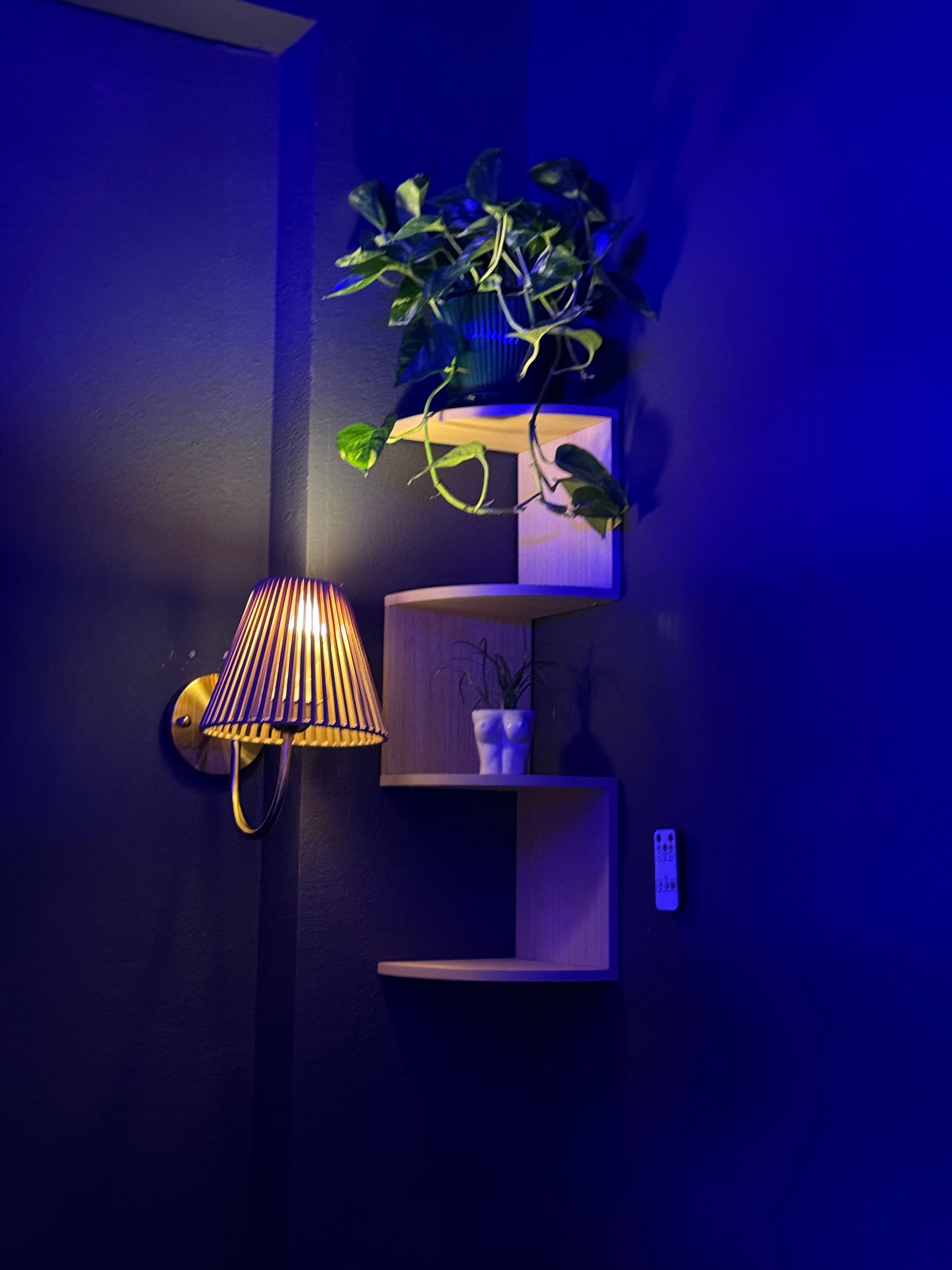 Recovery and Wellness Space at Reflection Pilates